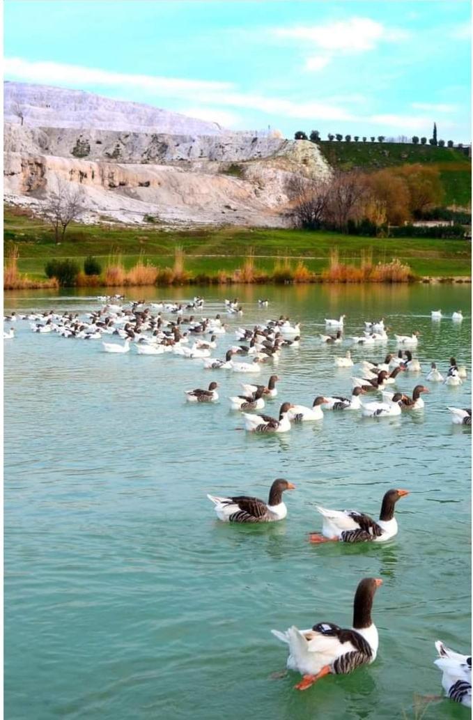 Akapella Otel Pamukkale Dış mekan fotoğraf